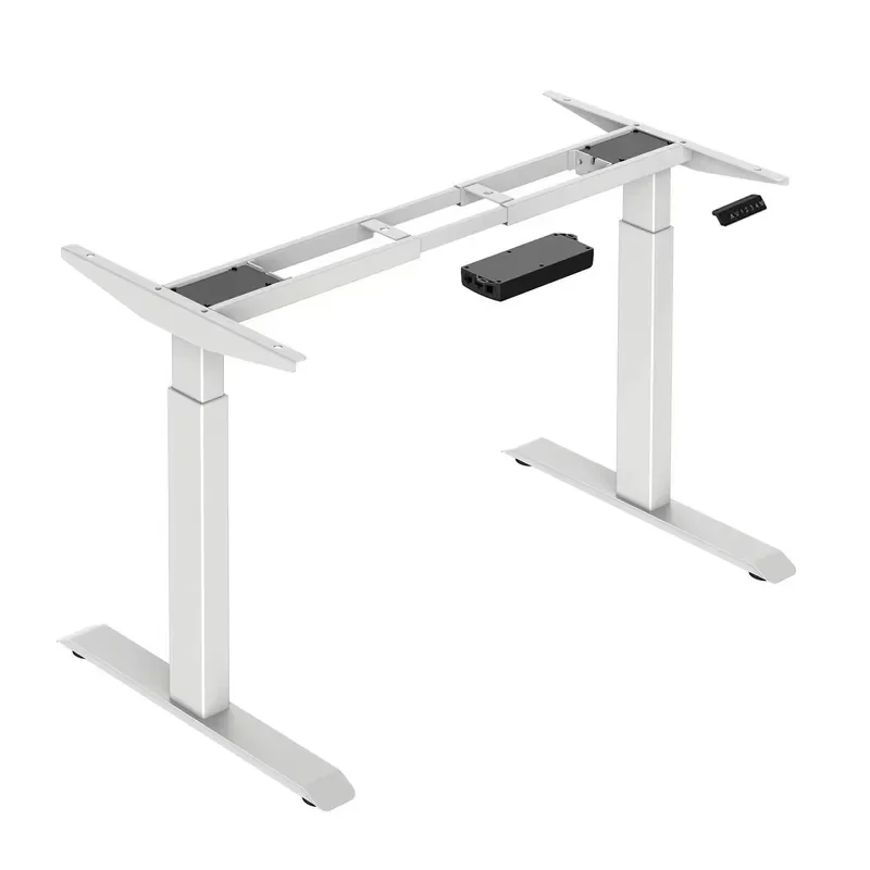 Electric Standing Desk Dual Motor Height Adjustable Computer Table Ergonomic Home Office Workstation with Type C Charging