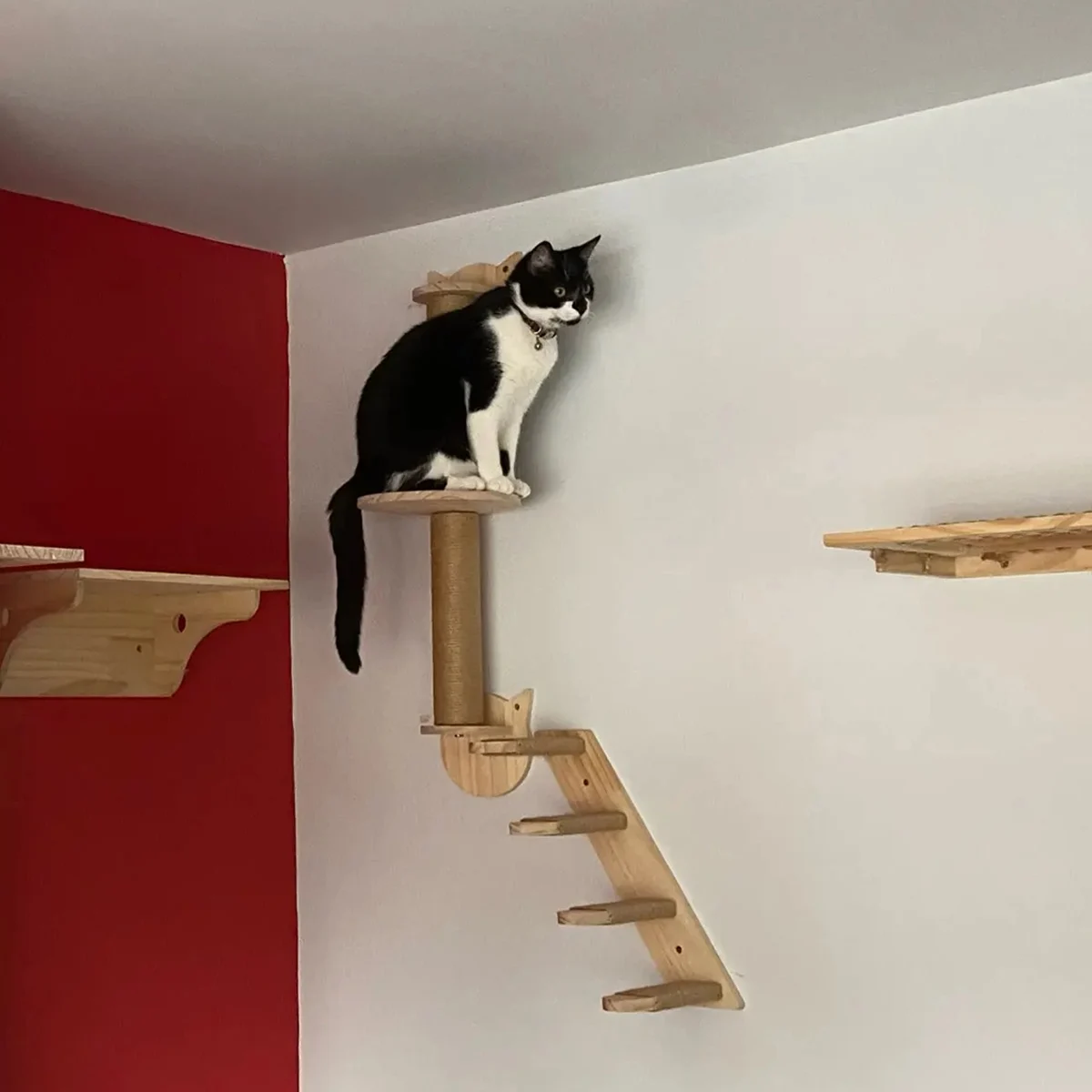 Cat Climbing ชั้นวางติดผนัง Scratching โพสต์สําหรับแมวบด Claws สัตว์เลี้ยงบันไดหรือสะพาน Cat Scraper เฟอร์นิเจอร์แมว