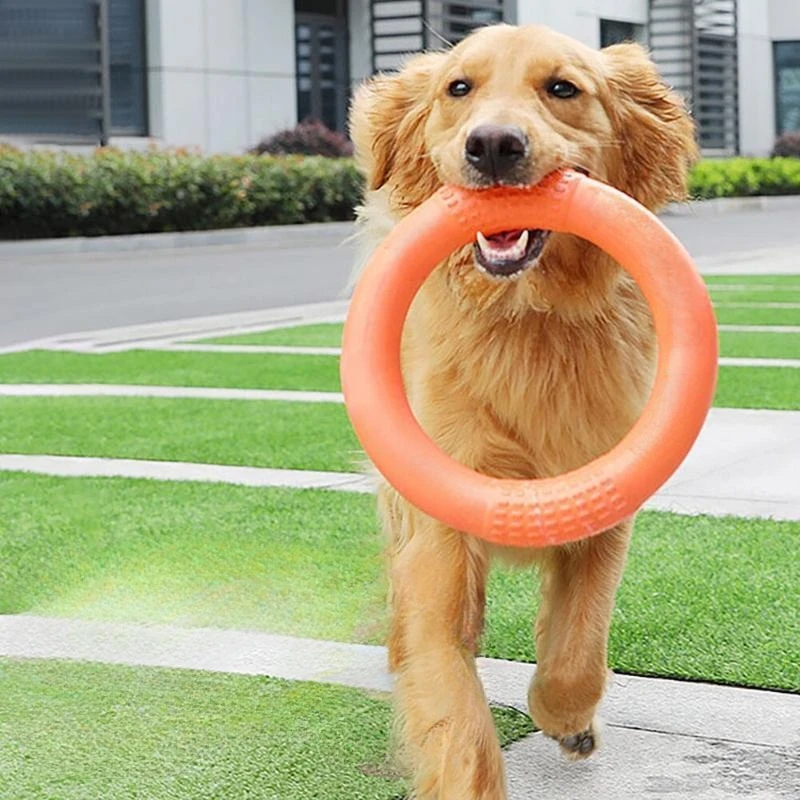 Interactive Dog Toy Training Puzzle Toys Pet Pull Ring Bite-Resistant Dog Floating Flying Disc Throw Training Toy