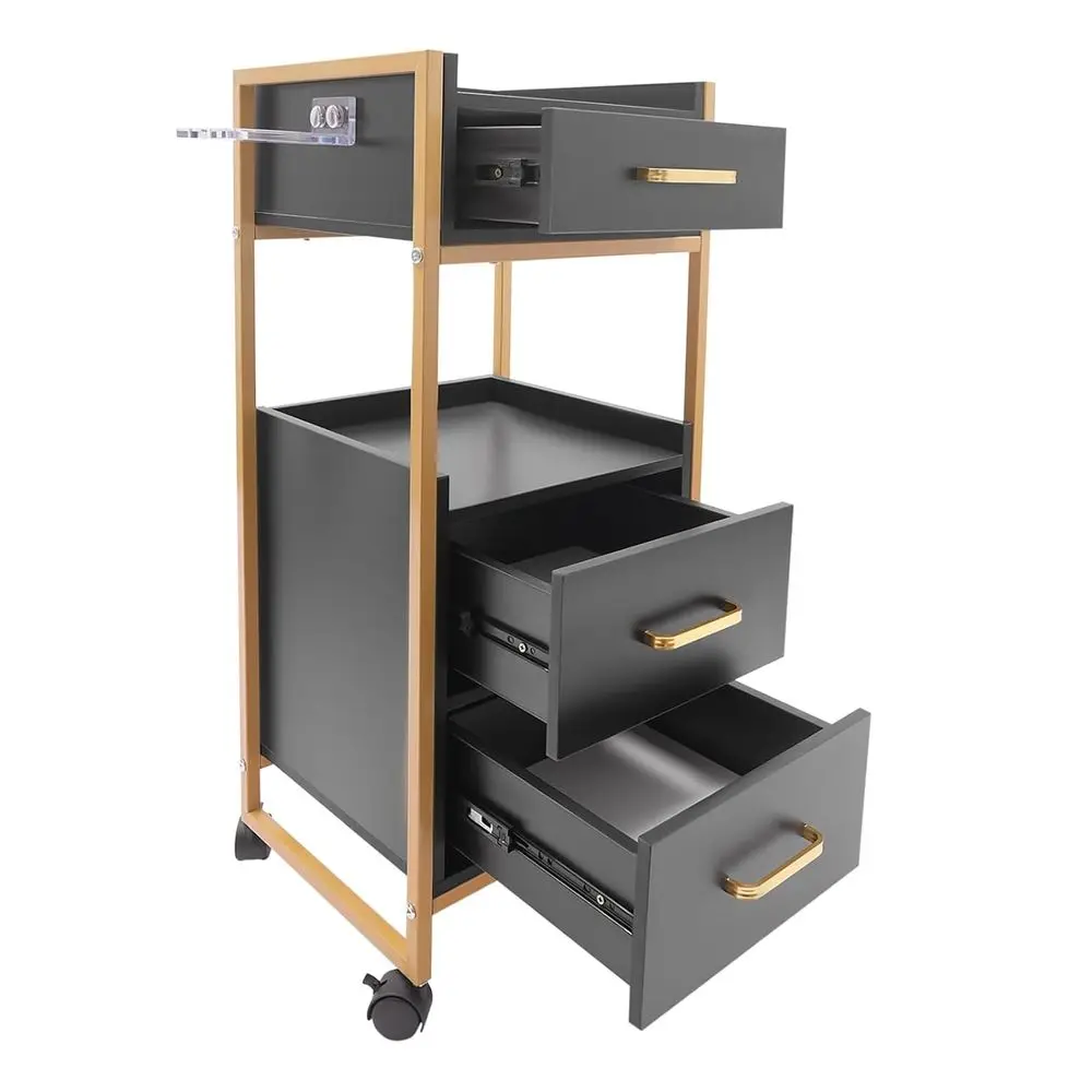 

Beauty Salon Storage Trolley Cart, Rolling Hairdressing Salon Cart Rolling Barber Station Salon Cart with Drawer and Dryer Holde