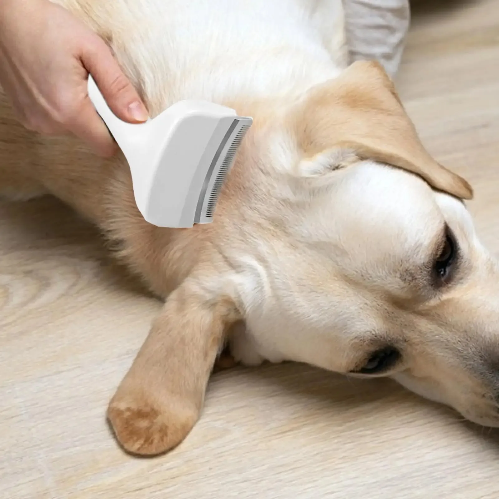 犬用スリッカーブラシ アンダーコート脱毛ツール 犬猫子犬子猫用もつれ解消デマッティングレーキ 脱毛ツール