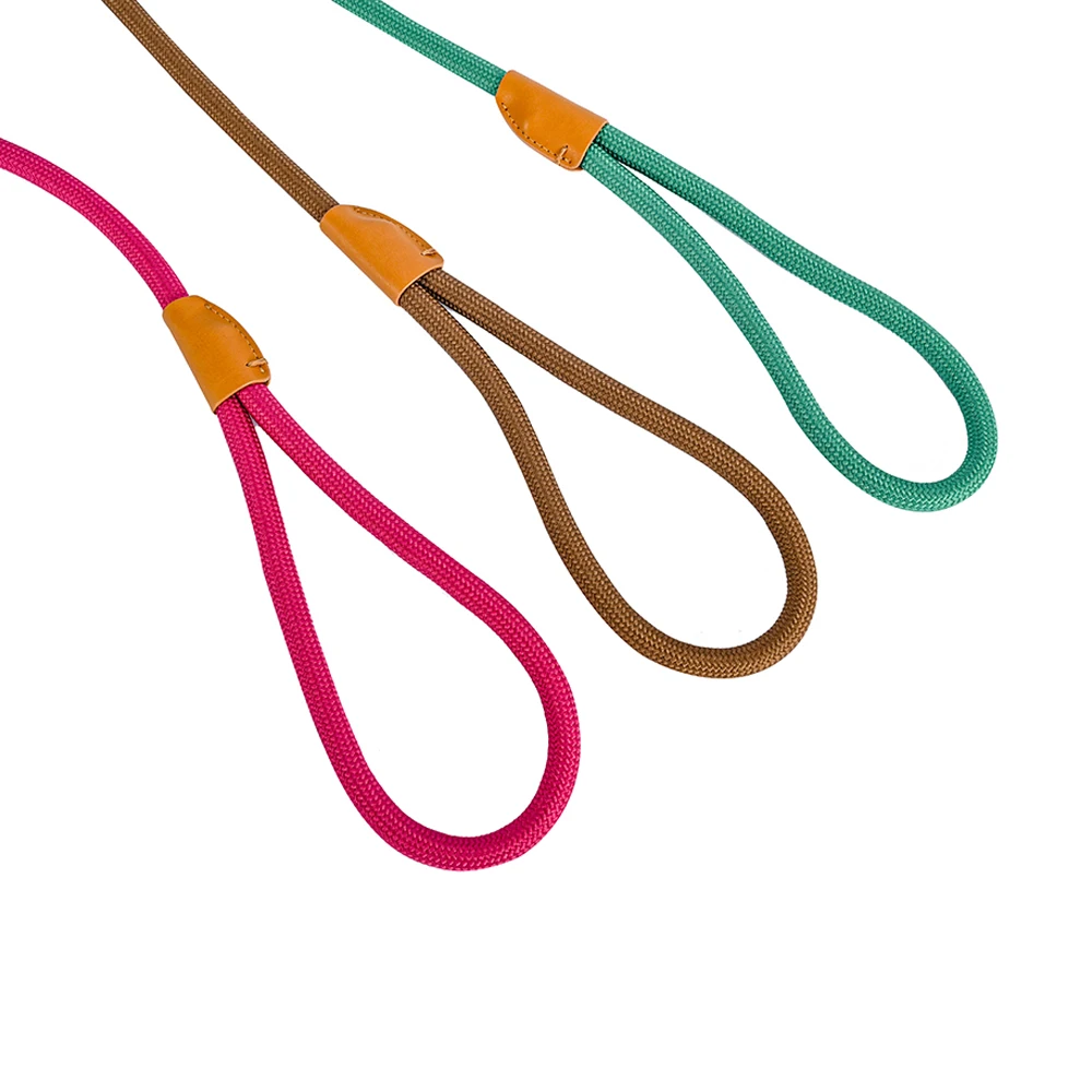 Bequemes langlebiges Nylon-Rutsch seil bestes Hunde leinen halsband verstellbare Gleit verschluss schlaufe mittlere bis große Leine für Hunde haustiere – Detail 3