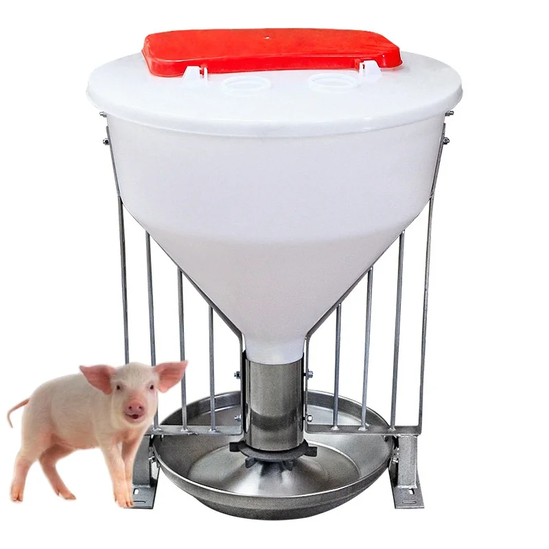 Wet Dry Automatic Animal Feeders pig feeder trough automatic feeders for the pig farm