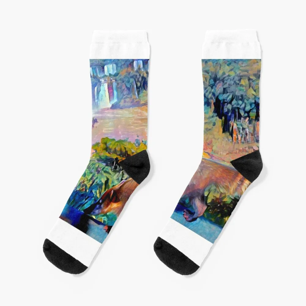 

Coati on Waterfall Fence Painting Socks cartoon Stockings compression designer Socks Woman Men's