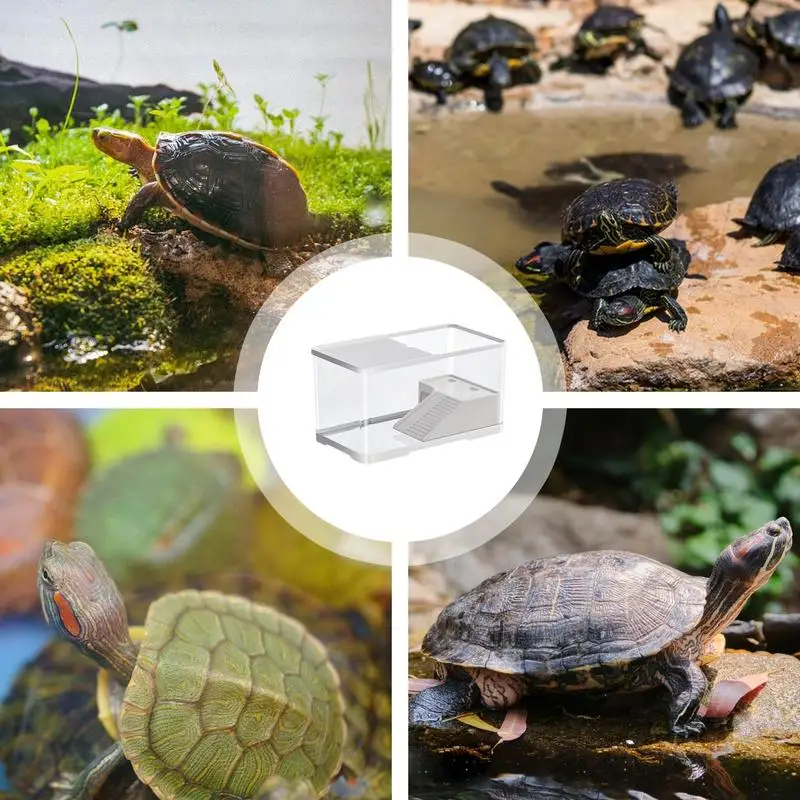 Creative Turtle Tank Tortoise Aquarium Habitat with Basking Platform Aquatic Tortoise Aquarium Reptile Habitat