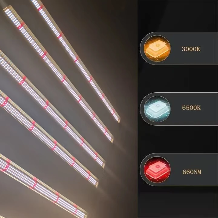 Luci progressive originali LM301H Evo 720W equilibrate PPFD UV IR Controllo separato Luci progressive per interni personalizzate