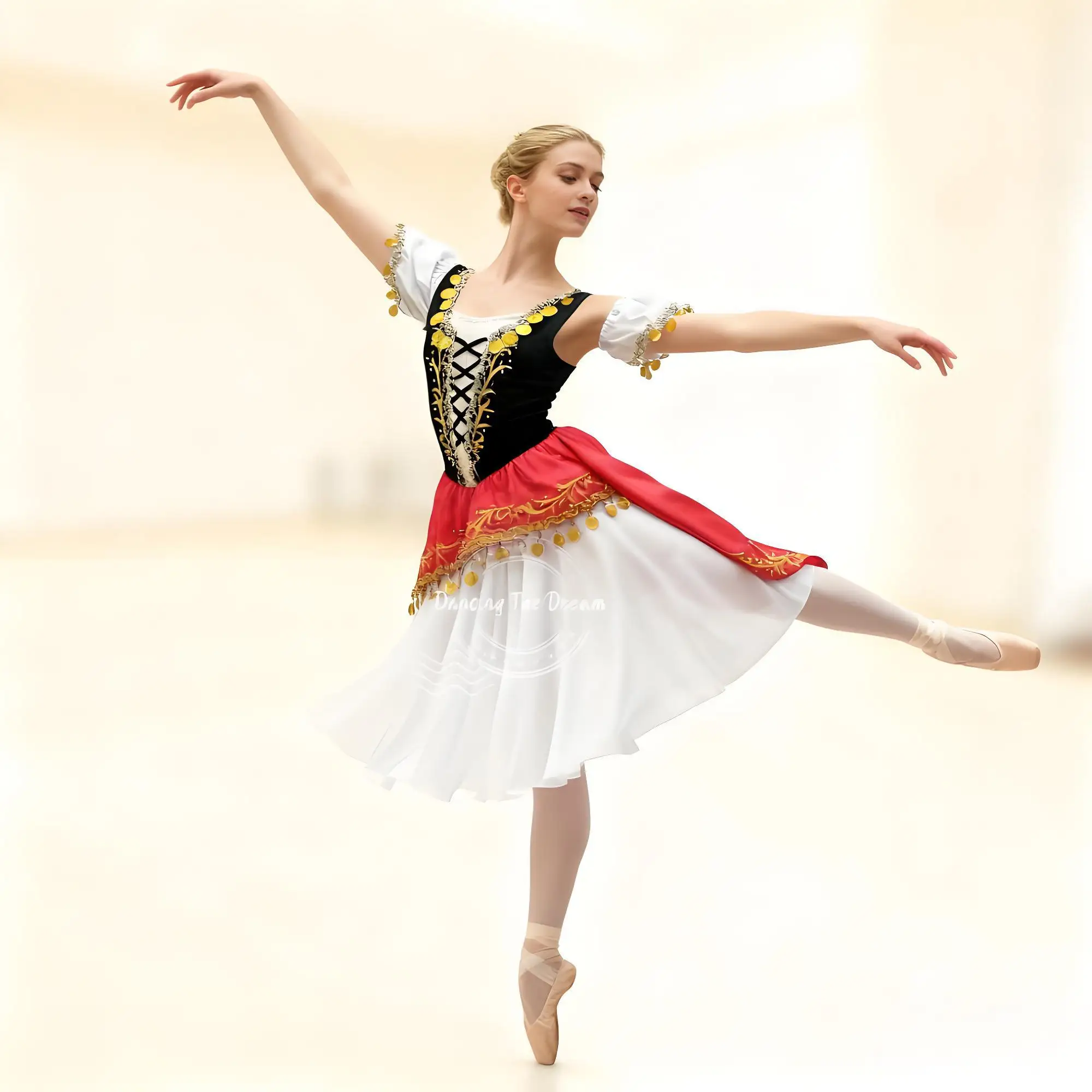 

Exotic Folk - Style Embroidered Coin - Decorated Ballet Dress Vibrant Folk - Inspired Gold - Accented Ballet Gown