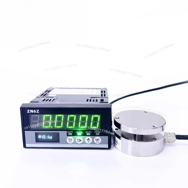 Gravity, Pressure, Force Measurement, Load Cell, Digital Display Controller, Instrument Press