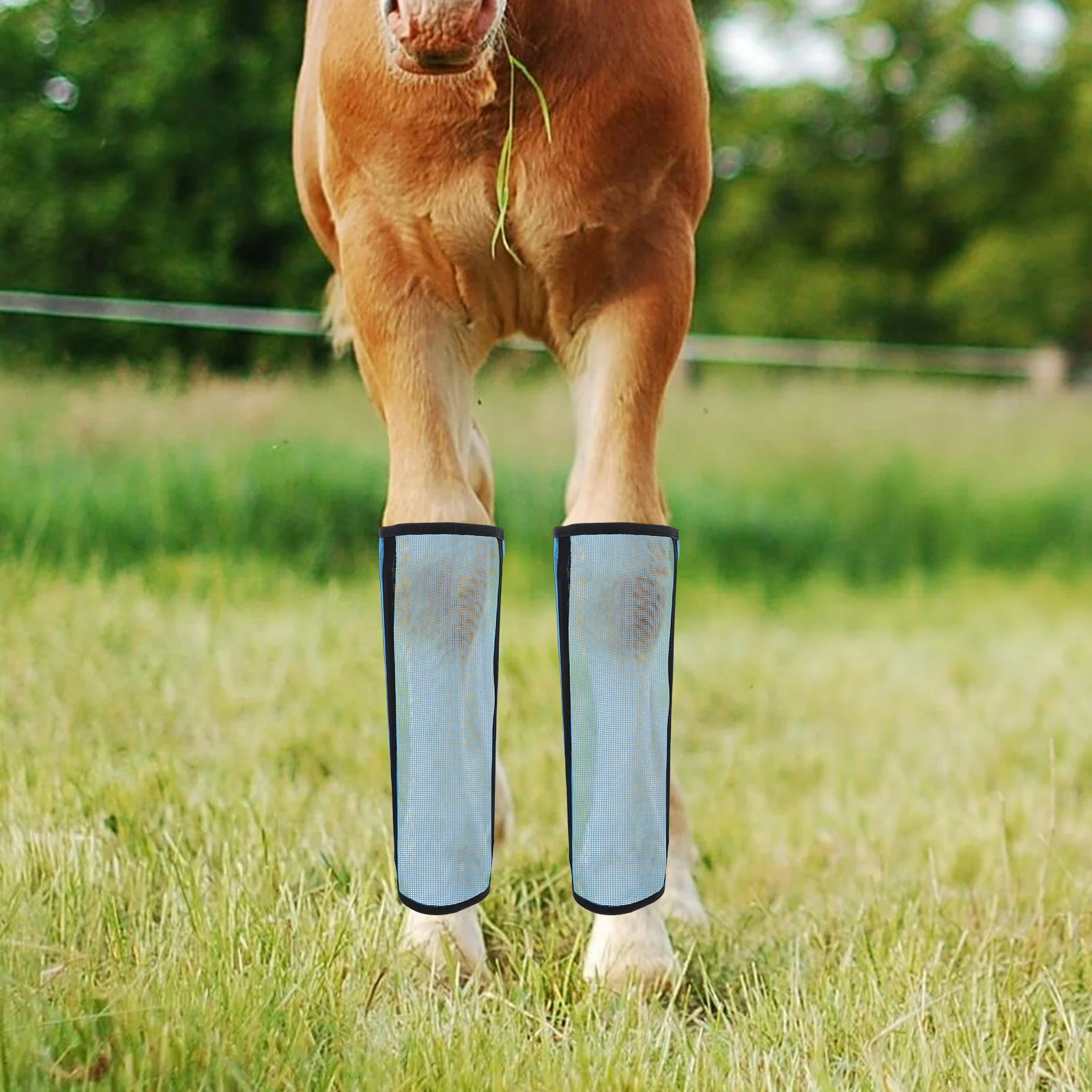 4Pcs Pelindung Kaki Kuda Desain Jaring Bernapas Ringan Set Pelindung Kaki Kuda Desain Jaring Plastik