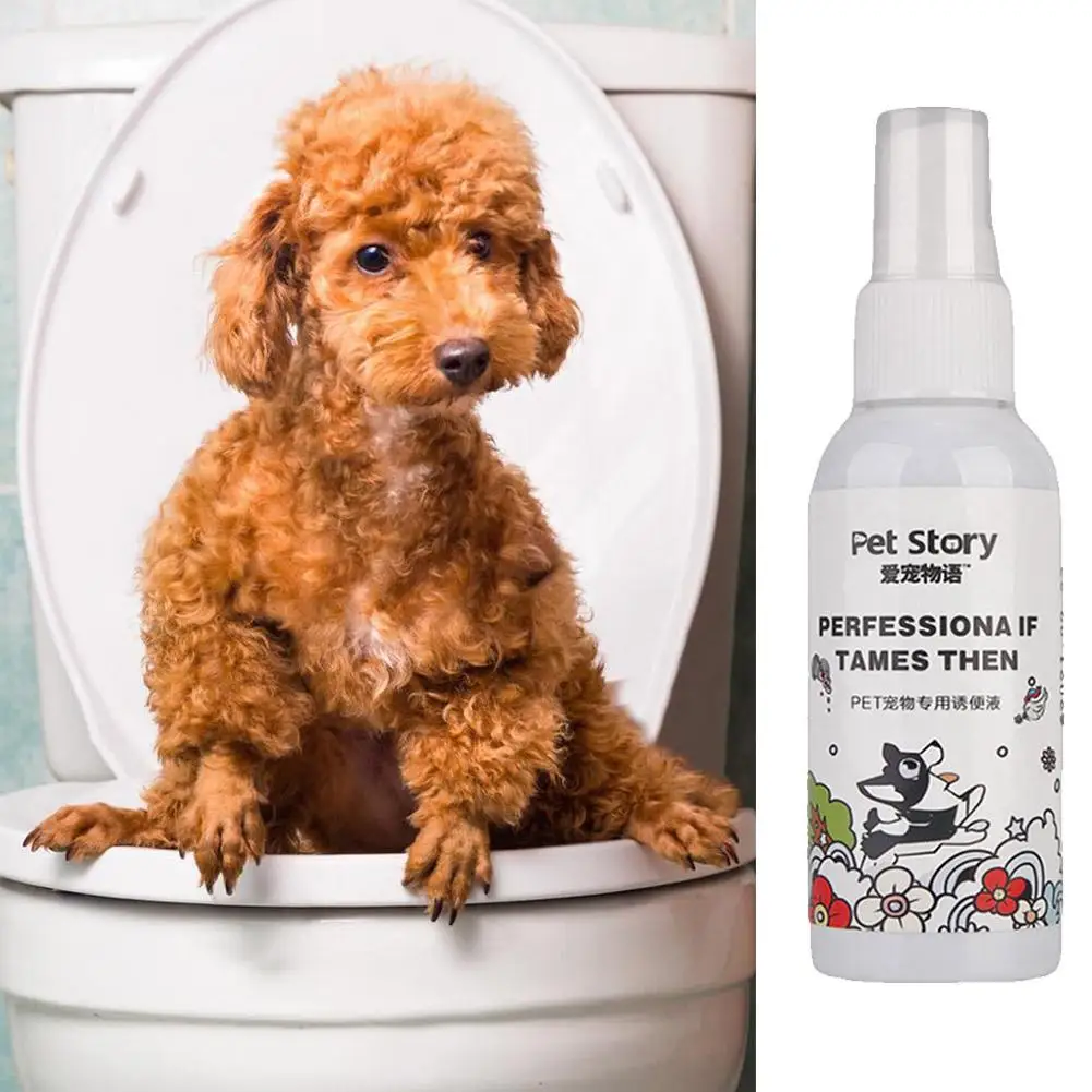 Pet Training Toilet Inducer Cats Puppy Pee Defecation Dogs Positioning Kitten Defecation Indoor Agent Defecation Pets Pract Z7K3