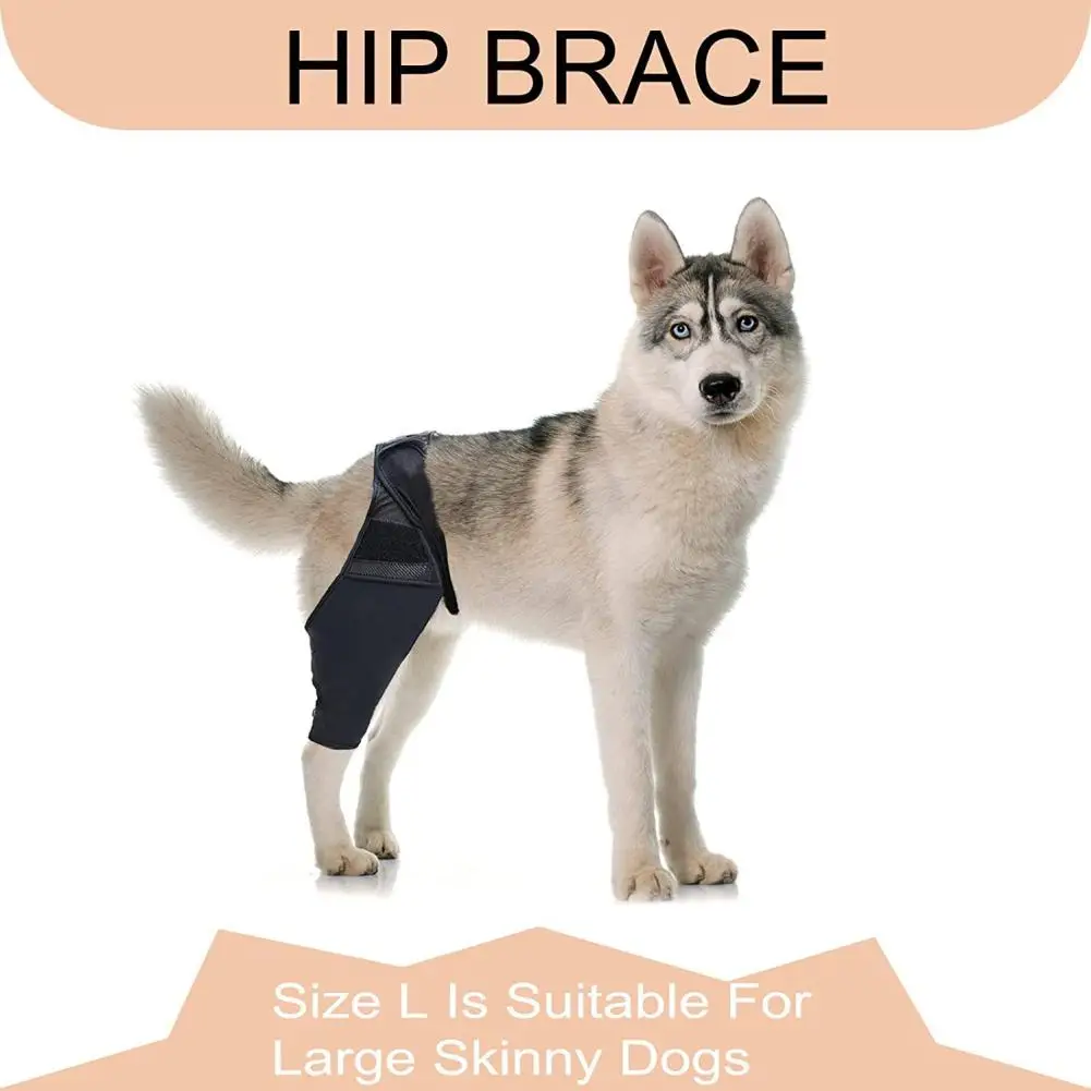 Pet Dog Knee Brace For Joint Pain Muscle Sore Leg Brace Rear Leg Bracer Support For Elderly Disabled Injured Dogs