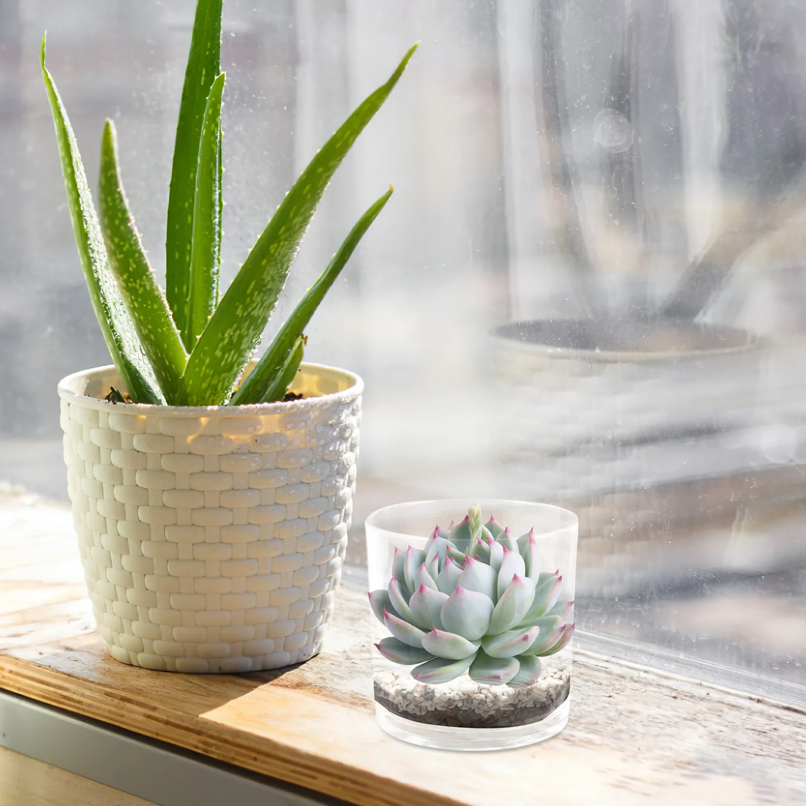 

Multi-Function Desktop Fish Tank Glass Decorative Betta Aquarium for Home Office Clear Goldfish Tank Plant Vase