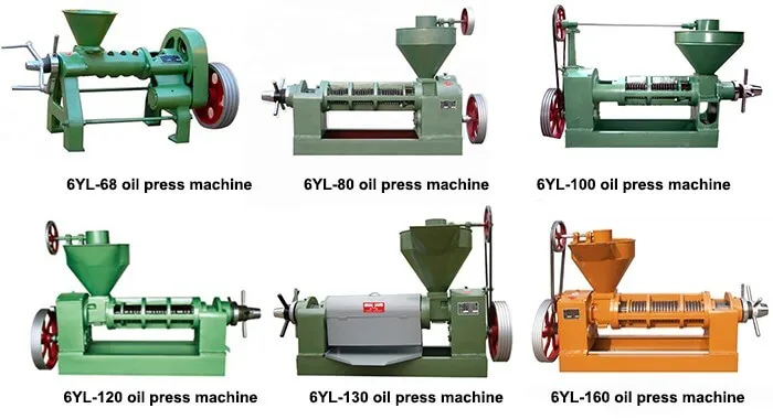 Large Capacity Oil Press Machine for Soyabean Sunflower Coconut Copra Palm Kernel Flaxseed - Oil Extraction Equipment