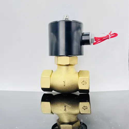 Imagen 2 del producto Válvula Solenoide Eléctrica Resistencia a altas temperaturas 200 ℃ Alta presión 1.6mpa 2L US DN8/10/15/20/25/50 Neumático Normalmente cerrado