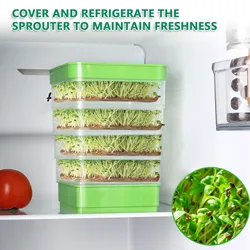 4 Tier Seed Sprouting Kits Versatile Sprouts Grower for Broccoli Alfalfa Seeds Mini Plant Grow Tray with Lid
