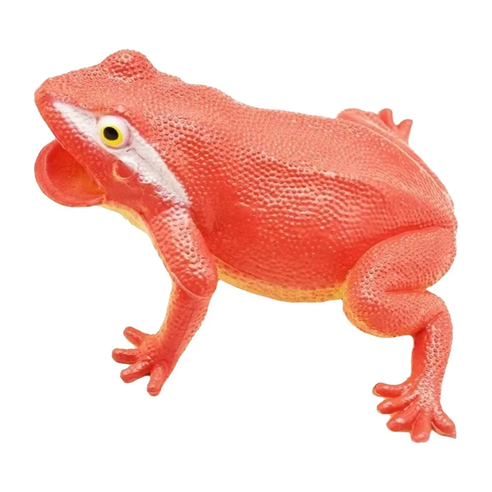 Plastic Simulation Frog Toy Lifelike Appearance Realistic Texture Frog Squeak Toy Multiple Colors Interactive Toad Figurine