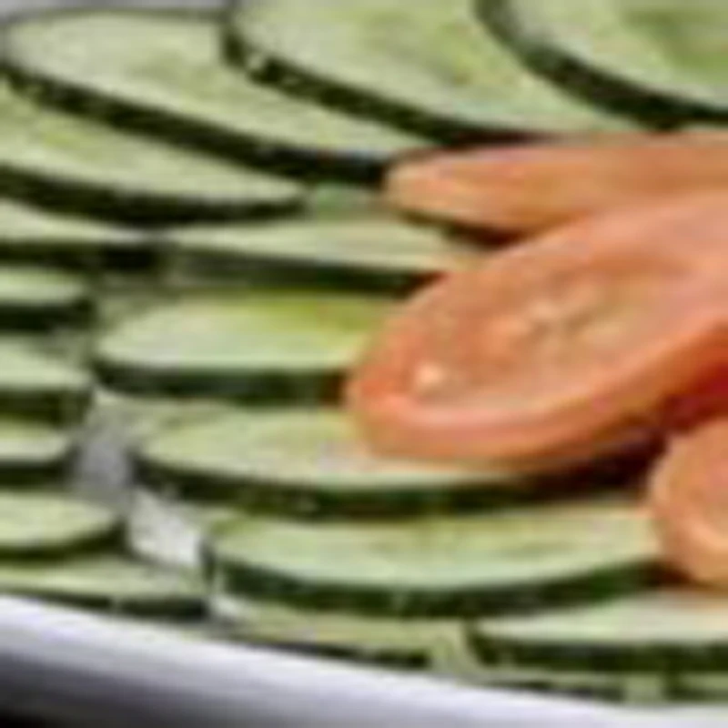 

Электрическая овощерезка 10 дюймов, из нержавеющей стали, коммерческая, регулируемая, автоматическая, для нарезки фруктов, домашняя, для приготовления вяленого мяса