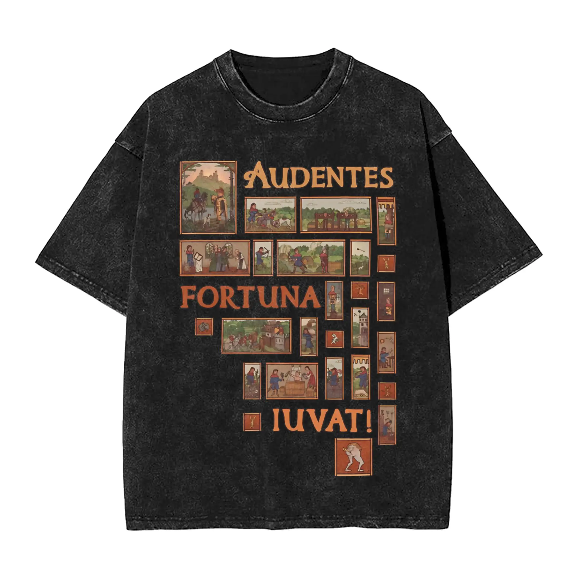 Graphic Printed  Audentes fortuna iuvat Kingdom Come Deliverances kcd Washed T Shirts Apparel Harajuku T-Shirts  for Men Women