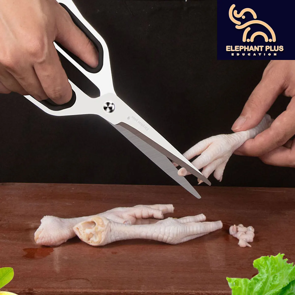 Professional Kitchen Scissors - Food Grade Stainless Steel Shears for Chicken/Fish Bones, Meat - Multipurpose Tool