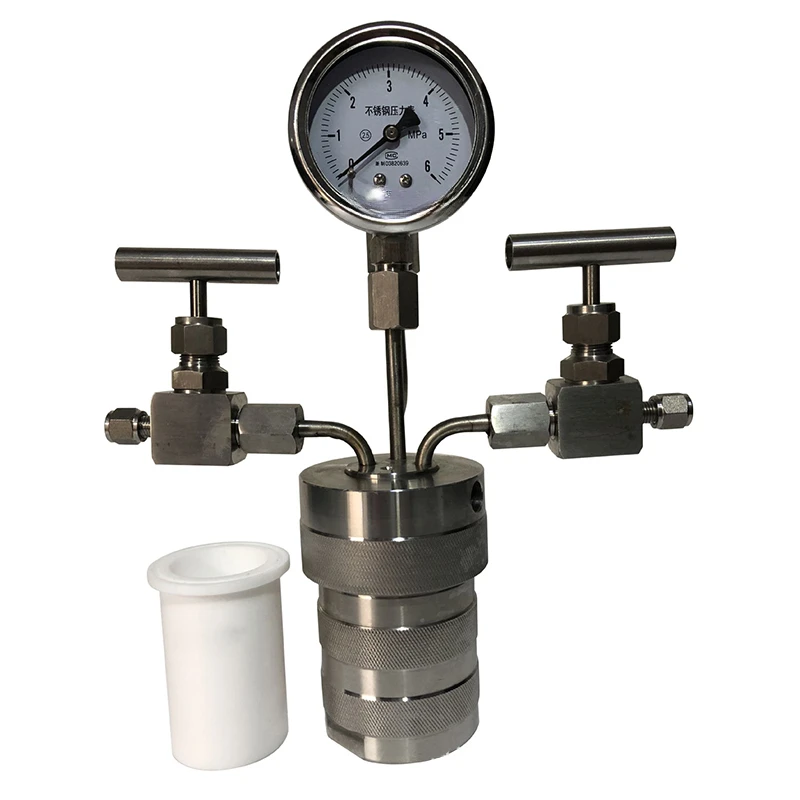 

Hydrogenated gas connected high-pressure gauge for hydrothermal synthesis reaction