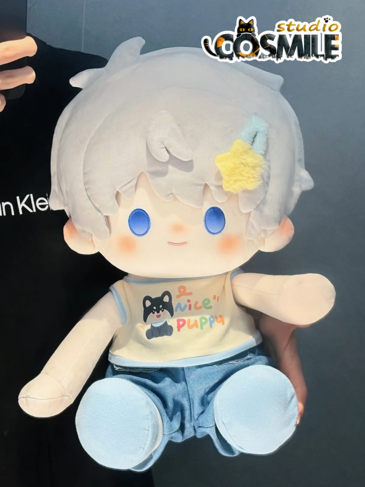 Love and Deepspace Xavier Rafayel Sylus Caleb Zayne Cotton Bangs Plushie Plush 40cm Doll Seated Doll Body ZS