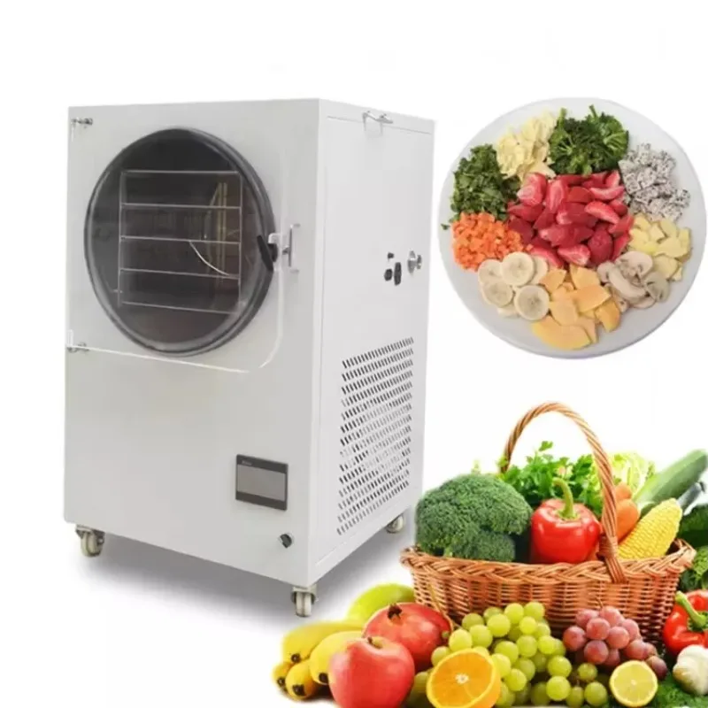 Chinese Household Small Food Fruit Vegetable Freeze Dryer