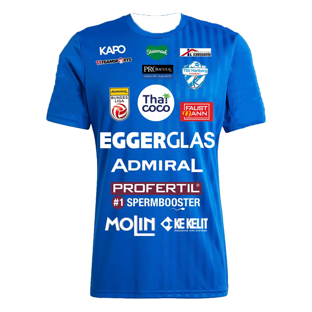 AliExpress NONE 2026 TSV Hartberg Team Uniform Austrian League Fan Edition Short Sleeved Breathable Quick Drying Sports T-Shirt