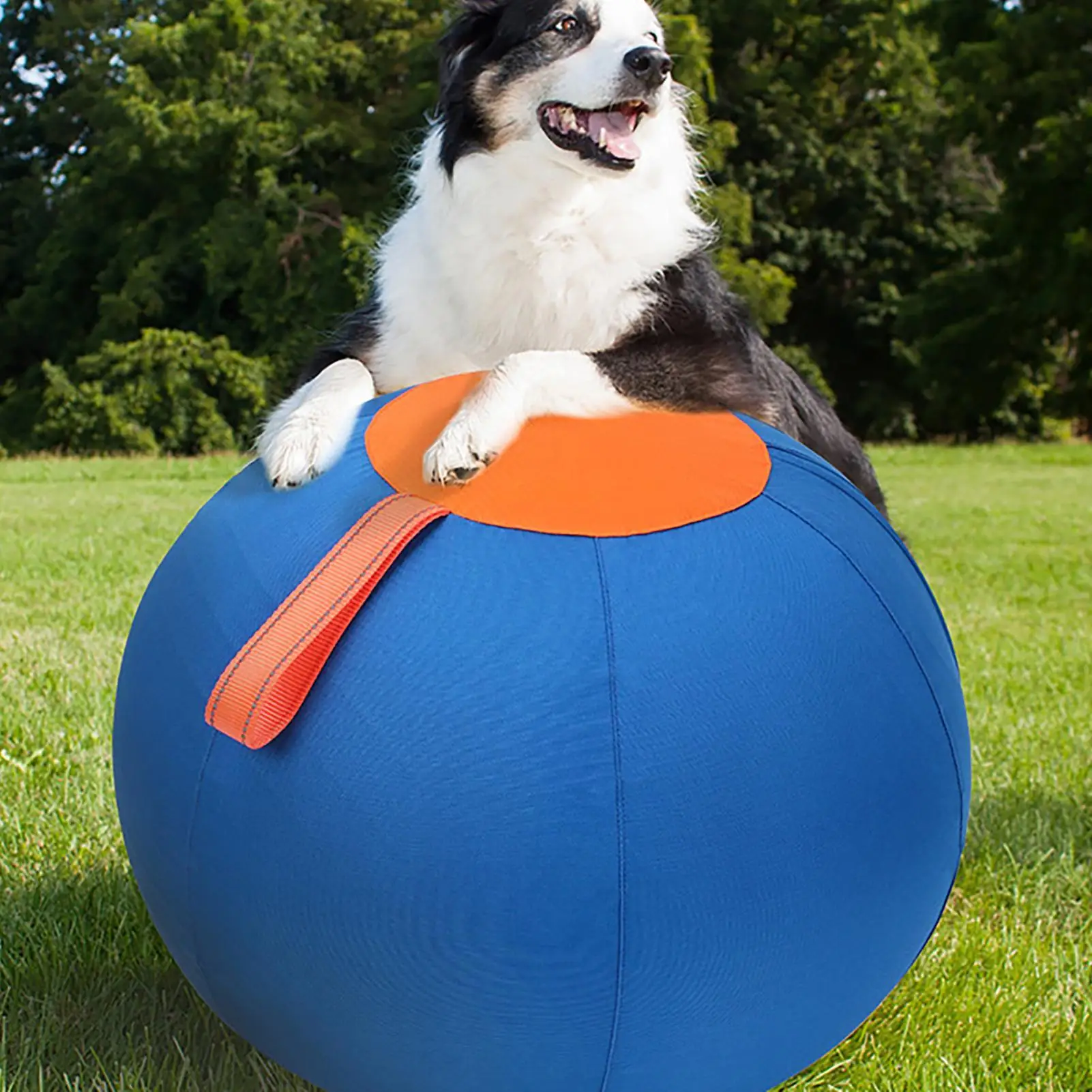 

Wear Resistant Inflatable Dog Ball Toy,Enrichment Play Accessory,For Puppy Outdoor Training And Daily Playing Use