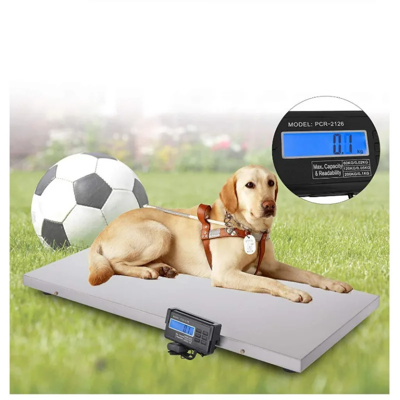 300KG BB Equipment Live Animal Scale High Precision Chicken Digital Weighing Scales