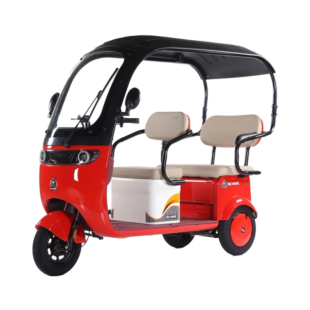 2025 CE جديد دراجة ثلاثية العجلات دراجة كهربائية 800 واط شاحنة توك توك 3 عجلة سكوتر تتراوح الدهون أوروبا