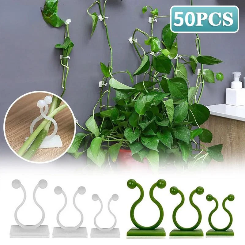 50Pcs Klettern Anlage Wand Clip Rattan Schnalle Haken Rattan Streifen Clip Selbst-klebe Fixateur Anlage Unterstützung Unsichtbare Unterstützung