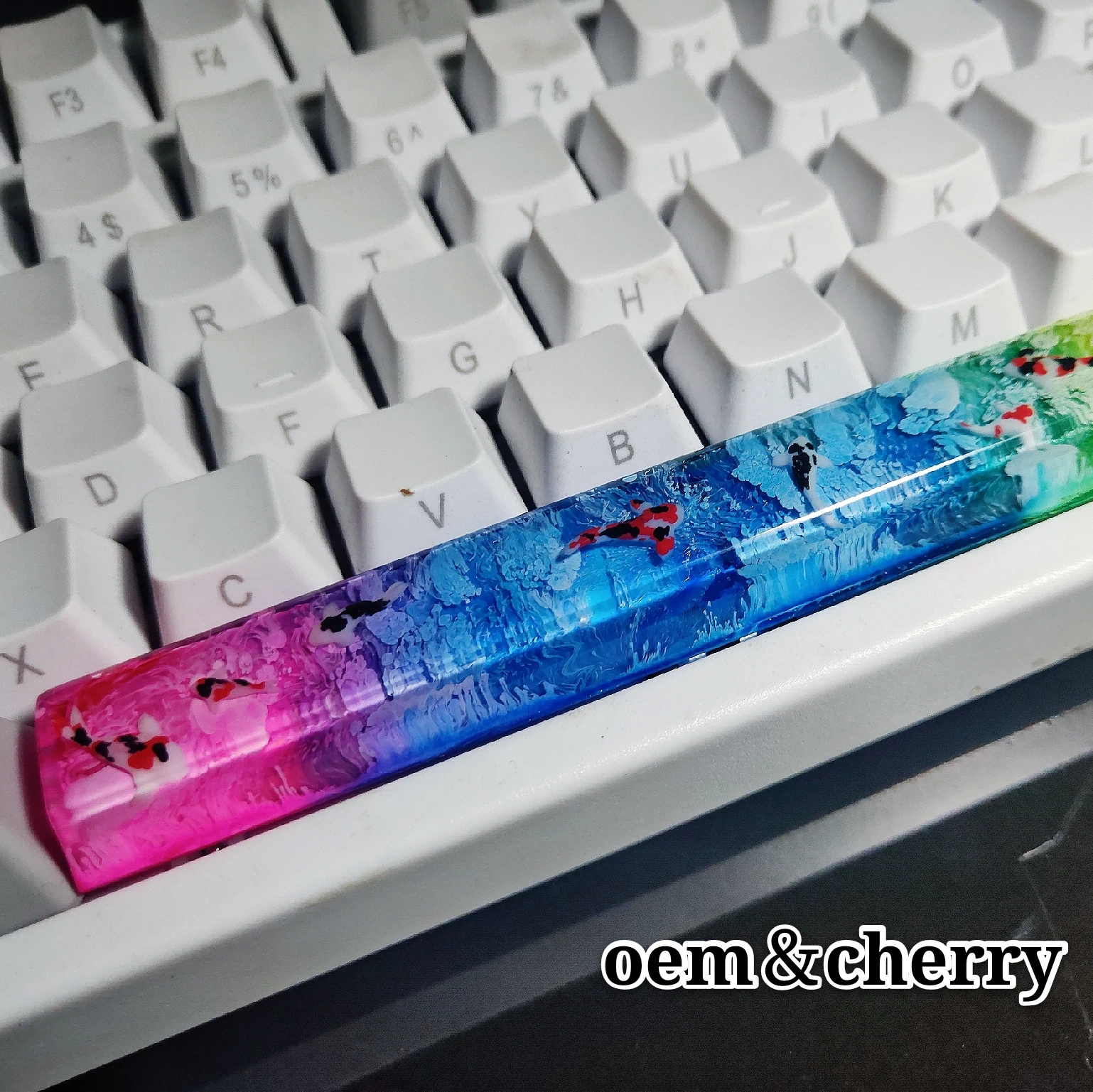 Imagem -05 - Corsair-handmade Resina Keycaps para Teclado Mecânico Gaming Oem Profile mx Switch Custom Keycaps K70 K63 K68 6.5u Barra de Espaço