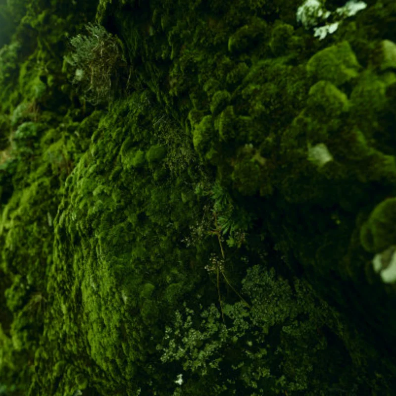 

WLtoys Upgrade Metal Adjustable Rods Screwdriver A959-B A979-B A959 A969 A979 K929 RC Car Parts for RC Car