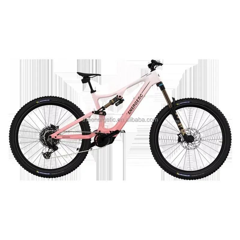 Professional Off Road Electric Mountain Bike Adult High Performance E Bike