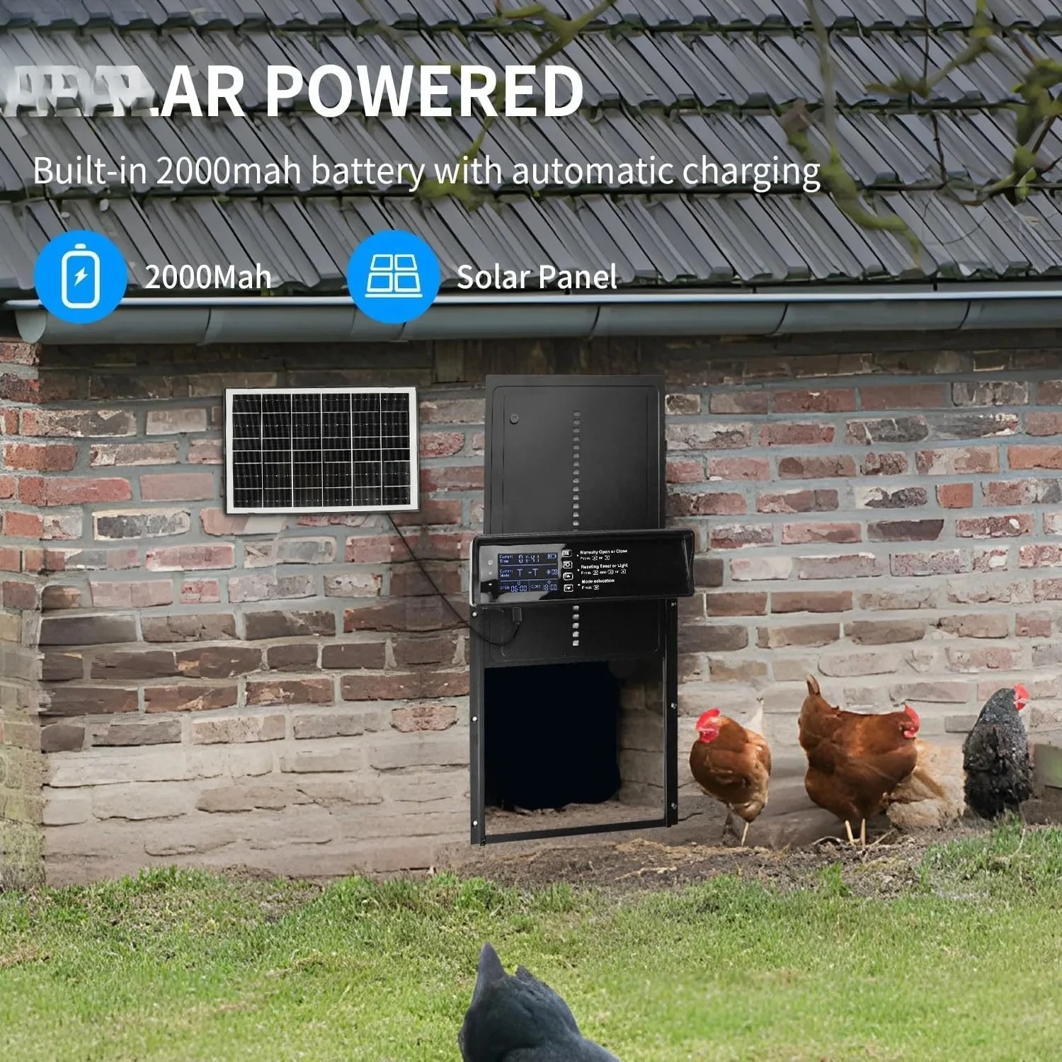 Automatic Chicken Coop Door Solar Powered, Anti-Pinch Chicken Coop Door Opener, Electric LCD Display Chicken Door with Timer