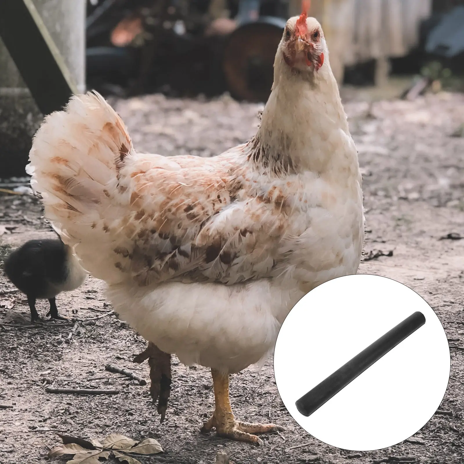 

Профессиональные пальцы для ощипывания птицы (кур, уток, гусей), совместимые с машинами для ощипывания, сменные.