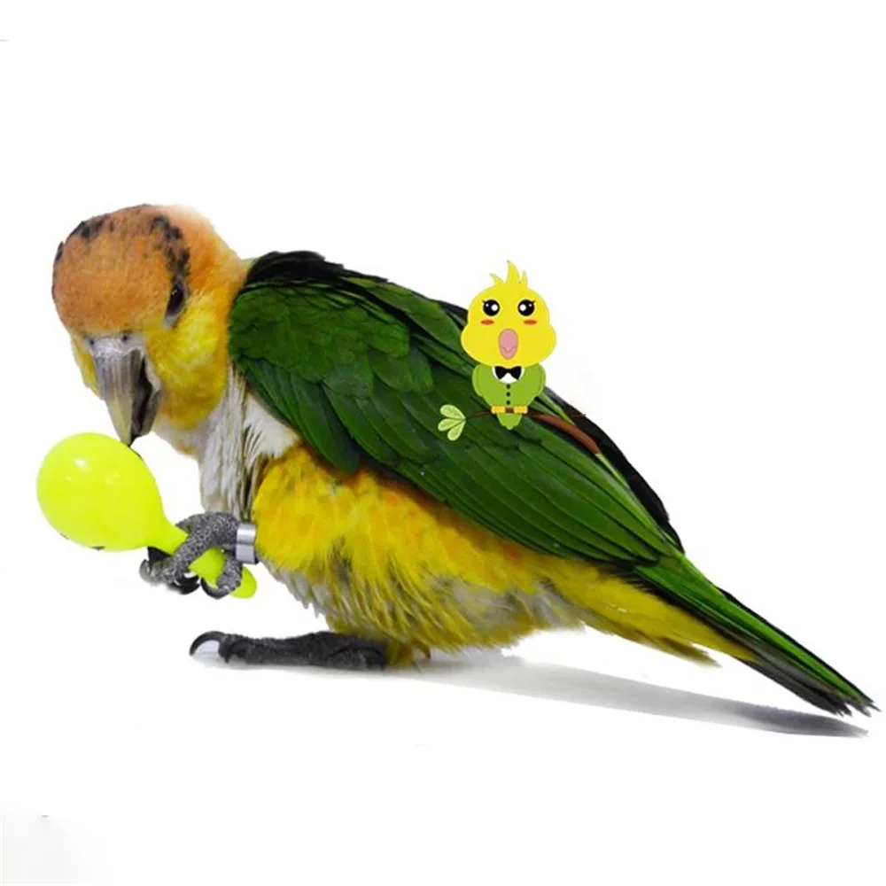 3PCS Parrot Toy Rattle Sand Hammer Sand Ball Bird Bites Wisdom Interactive Training Toys Pet Accessories Parrot Toy Supplies 앵무새