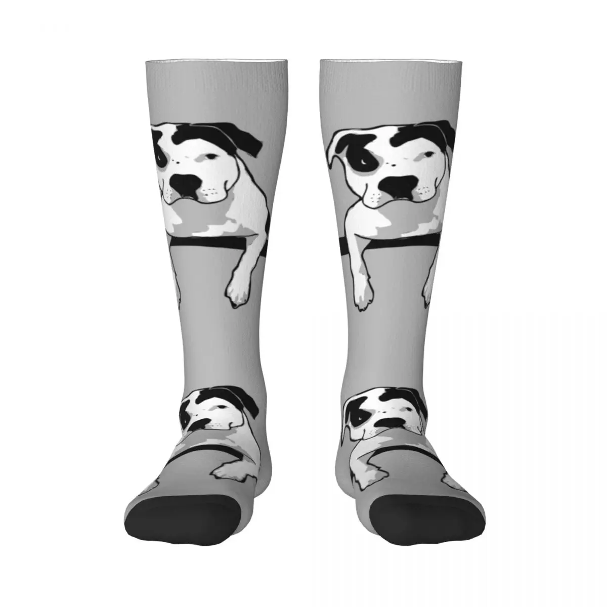 Cute Printed Cute Bull Terrier Dog Socks for Women Girl Stretchy Sports Thigh High Pet Lover Stockings