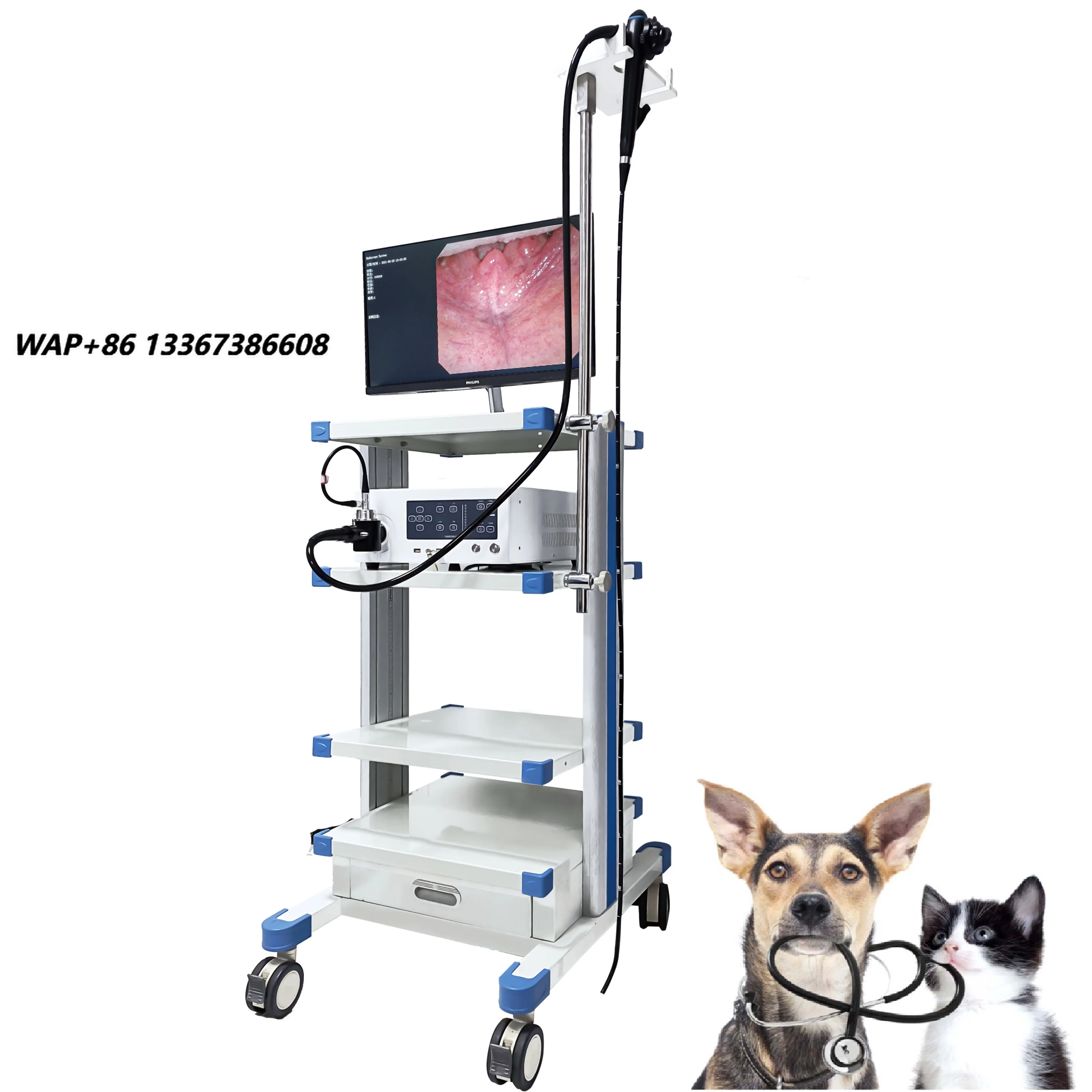 Promotional Price Animal Veterinary Special Medical Veterinary Diagnostic System Pet Endoscope Price