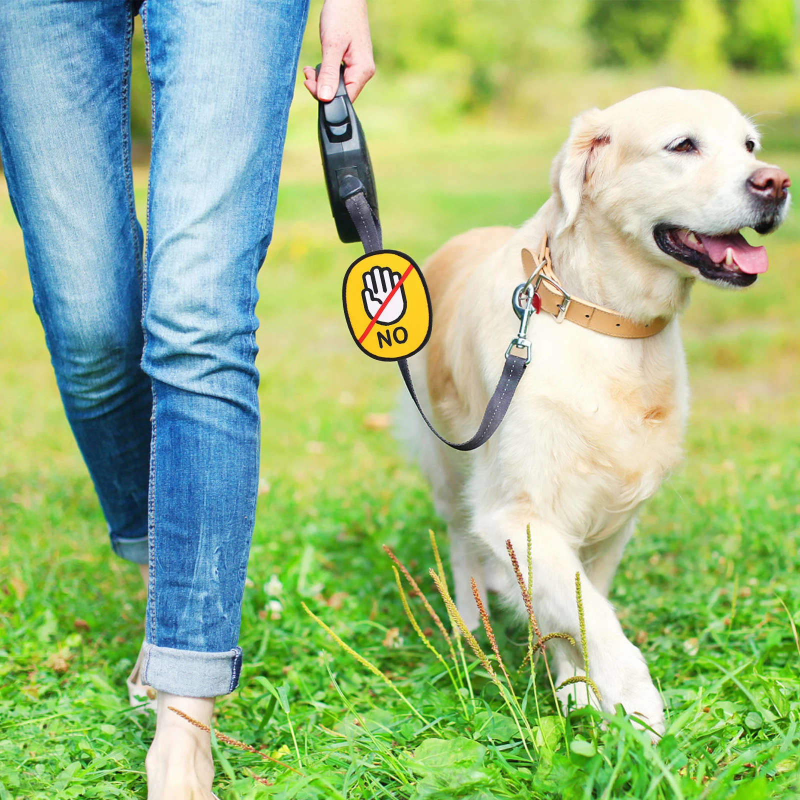 

Do Not Touch Removable Pet Leash Label Warning Sign Decals Puppy Social Tool Pet Leash Sticker Dont Touch Sign