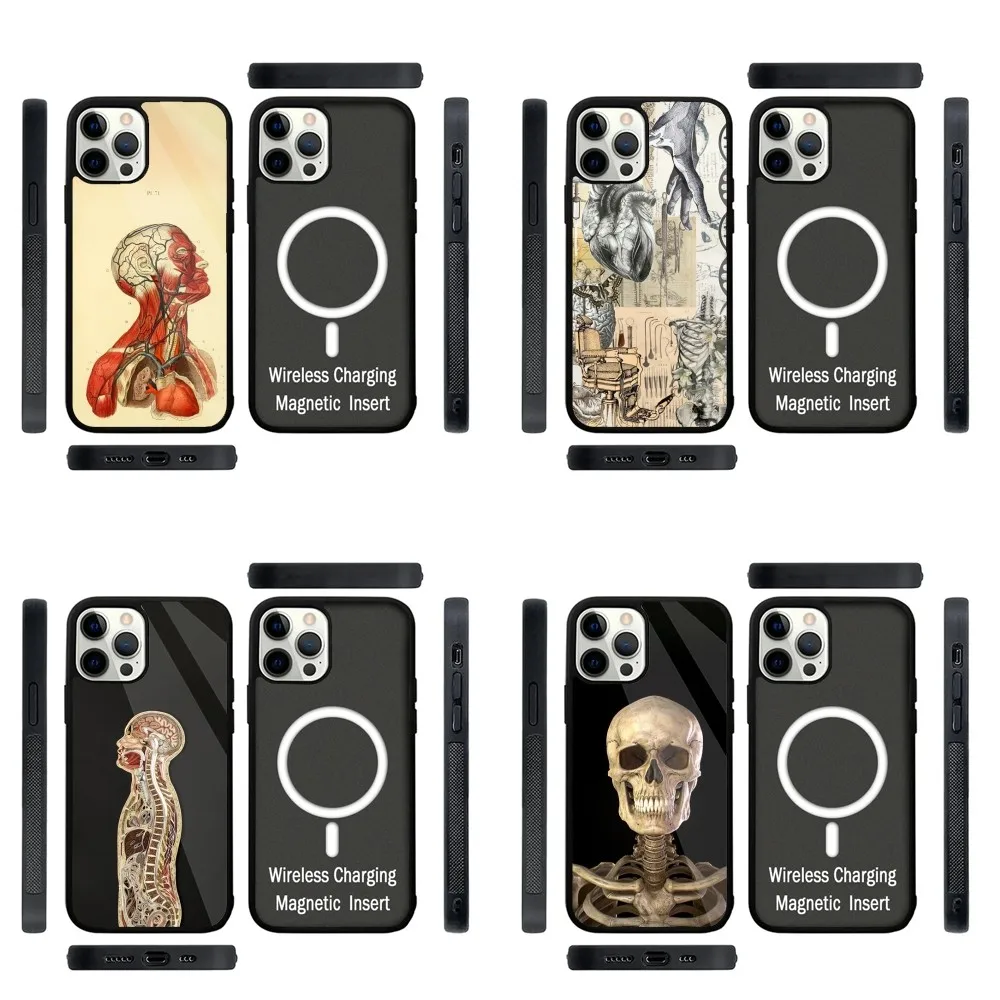 Medical Human Anatomy  Phone Case Strong Magnetic For IPhone 15,14,13,Pro,Max,Plus,11,12,Mini For Magsafe Wireless Charging