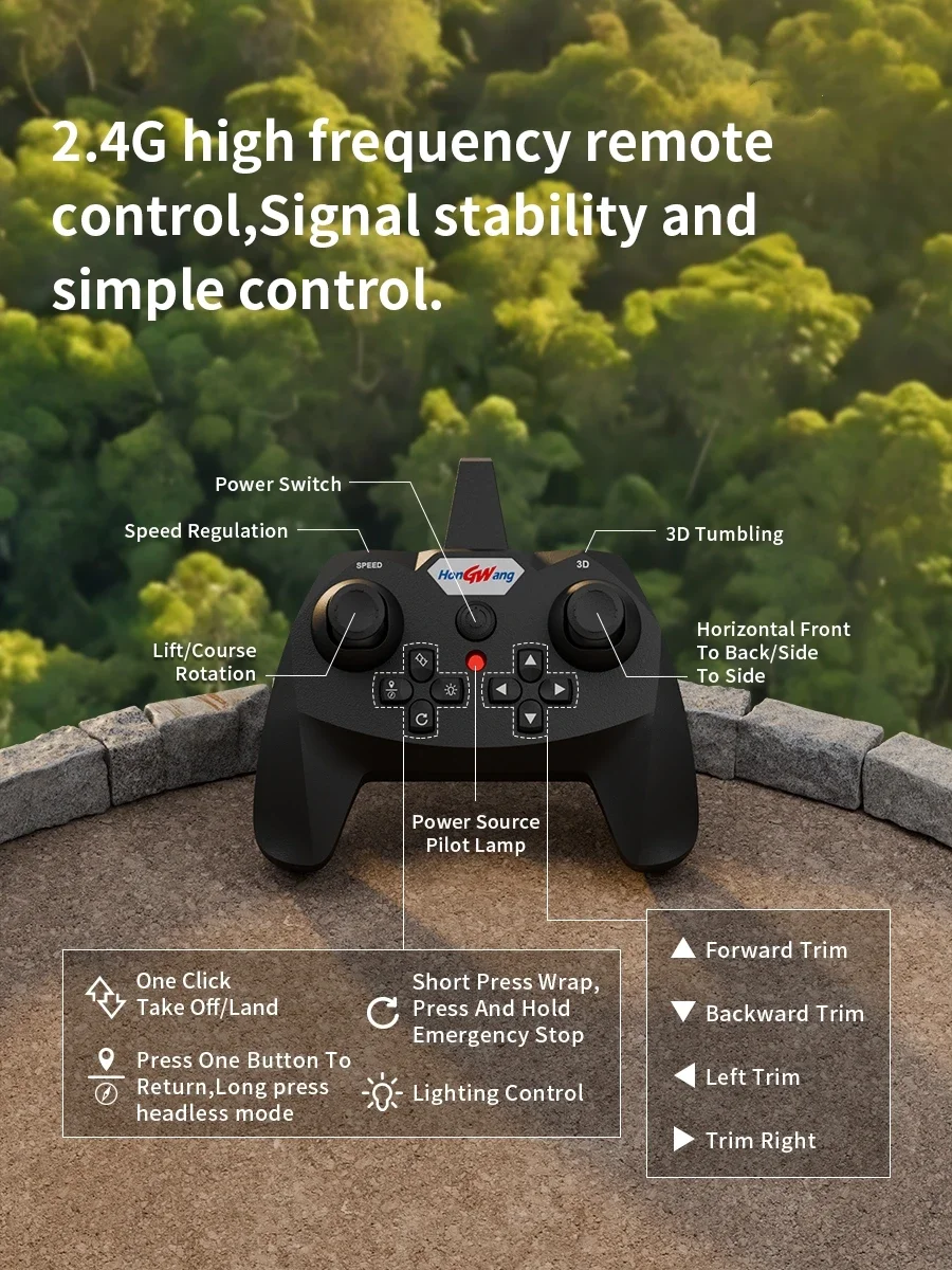 Remote Control Aircraft EPP Foam Glide Airplane Simulated Pterosaur Kids Flying Toy RC Drone Dinosaur Fixed Wing Plane Boy Gifts