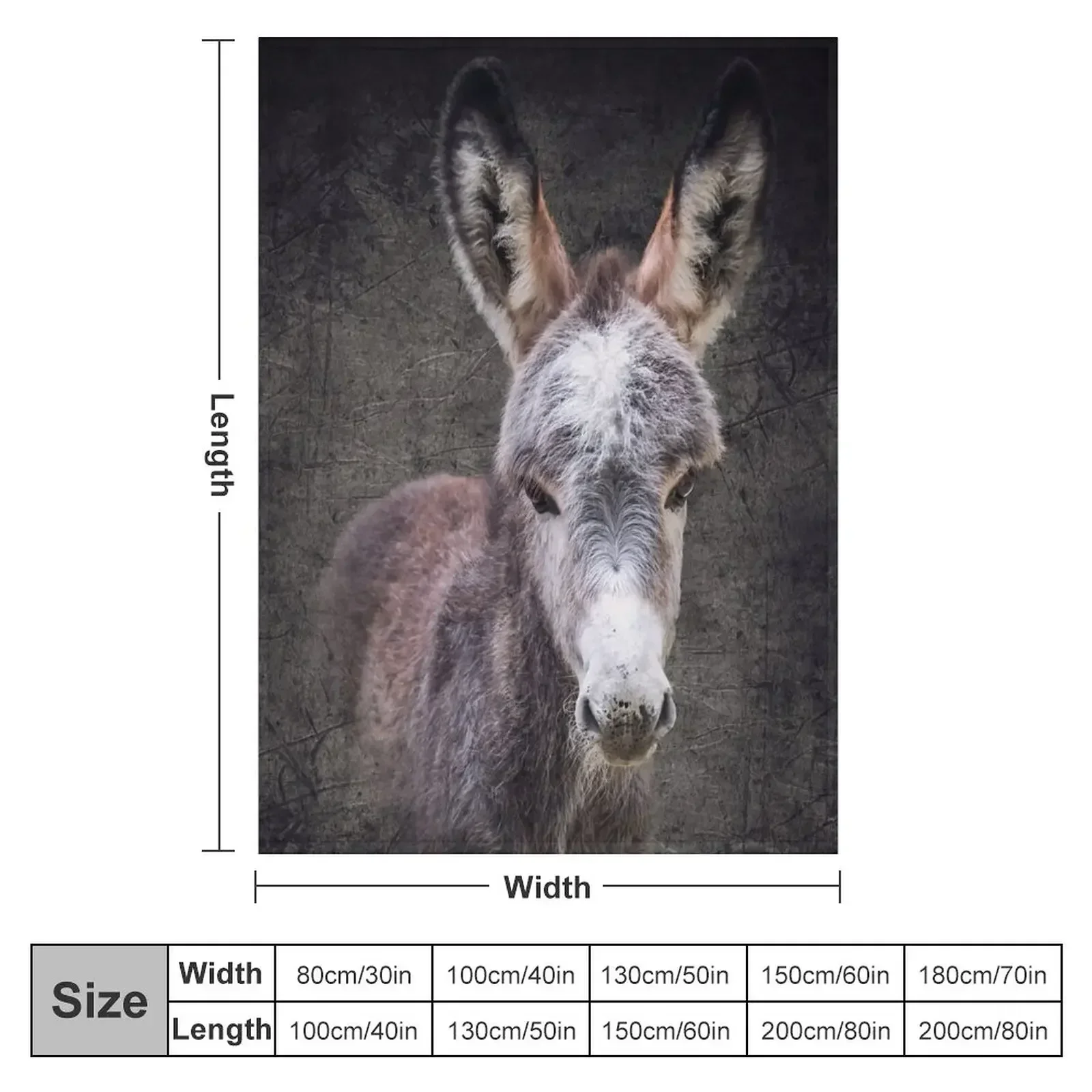 Donkey foal Mattheo Throw Blanket Warm Hair Blankets