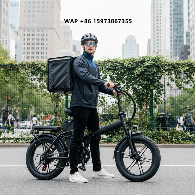 

Chamrider DTS425 Electric Folding Bike 20Inch Fat Tire 48V Lithium Battery 7 Speed Steel Frame Delivery Ebike