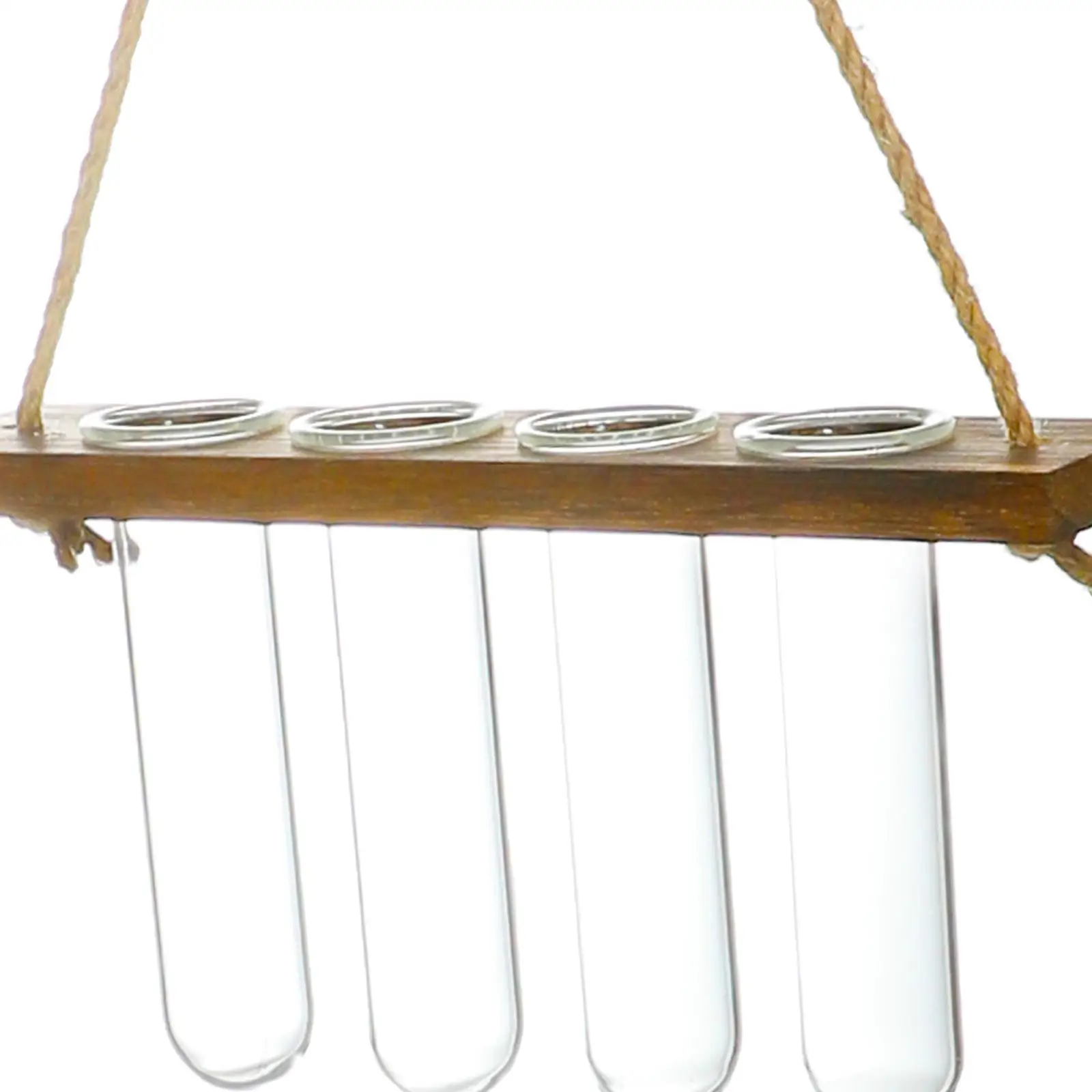 Wall Hanging Terrarium Flower Hanging Planter Propagator Hydroponic
