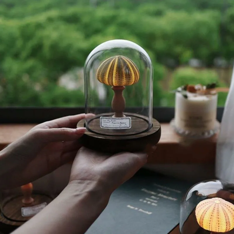 New Modern Minimalist Style Ocean Retro Shell Sea Urchin Conch Shine Desktop Ornament Handicraft Living Room Bedroom Decoration
