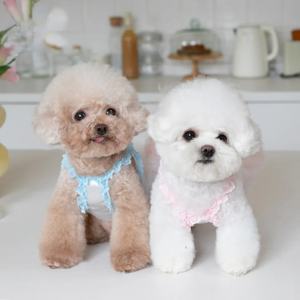 Pet Spring/Summer Gradient Mesh Skirt Pet Cat and Dog Fluffy Dress Teddy Skirt INS Fashion Pet Sunscreen Breathable Clothes