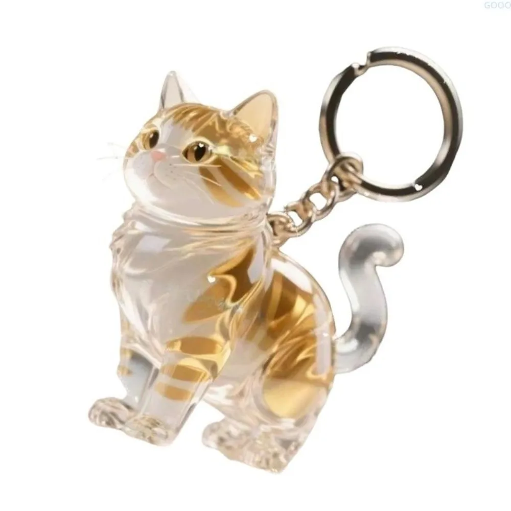 Portable Transparent Cat Hair Storage Box Capsule Shape Bag Charm Dog Fur Container Maine Keychain Souvenirs for Pet Lovers