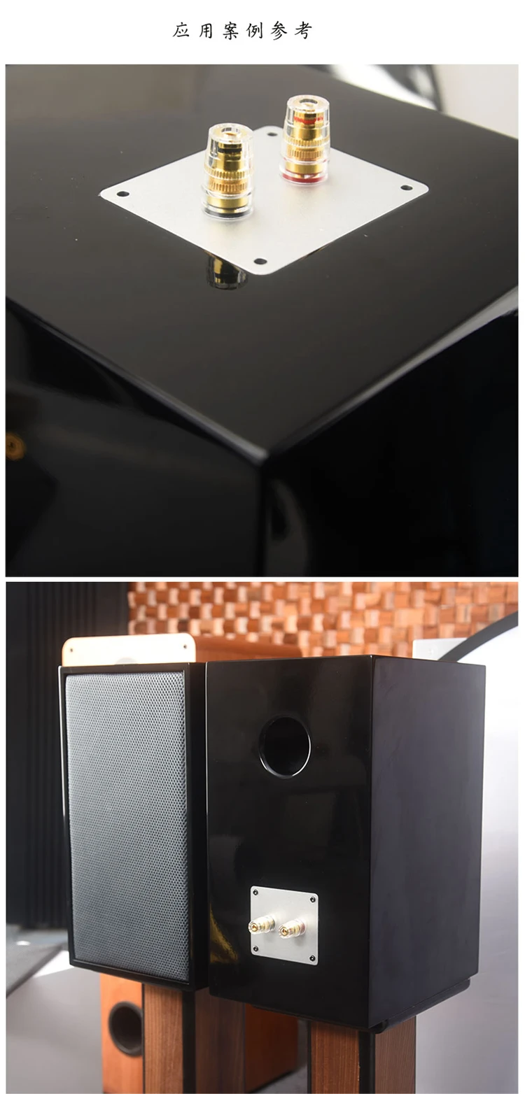 HIFIDIY Hi-Fi 2-Wege 2-Lautsprecher-Einheit (Hochtöner + Tieftöner) Lautsprecher Audio-Frequenzweiche Crossover-Filter T2B – Detail 17