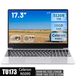 Notebook 17.3 inch Laptop Windows 1600*900 Cheap Portable Intel N5095 office Computer DDR4 8G 16G RAM 256GB/512GB SSD HDMI Port